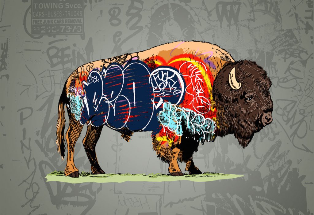 Whatisadam, Buffalo Graffiti I